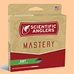 Mastery VPT