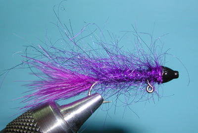 Purple Balanced Leech