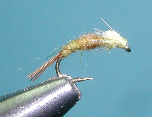 Barr's PMD Emerger