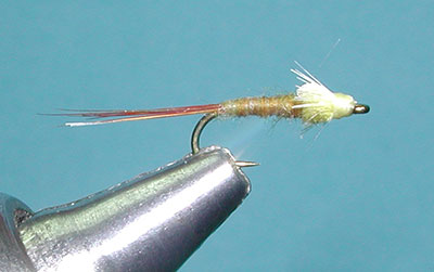 Barr's PMD Emerger