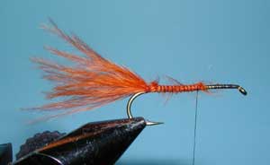 Randy's Belly Boat Fly, Step Two