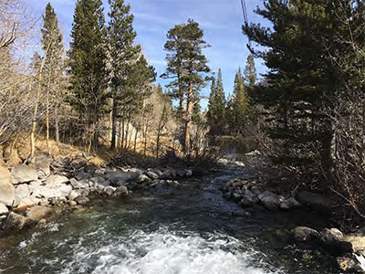 Fishing in Bishop Creek Canyon: Tips, Techniques, and Best Spots