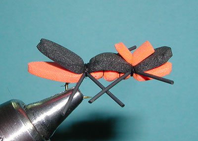 Chernobyl Ant, Black/Orange