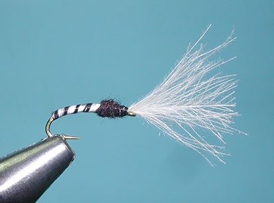 Black Colored Emerger, White Wing