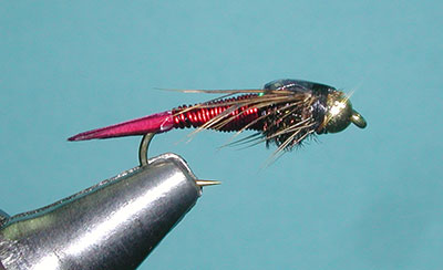 Blue Wing Olive Bead Head Copper John Nymph Fly - 6 Pack