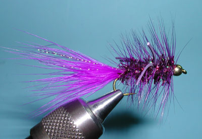 Crystal Bugger, Purple