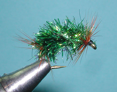 Peacock Sparkle Snail