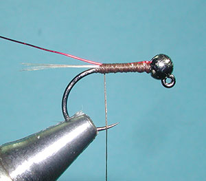 Duracell, Step Seven