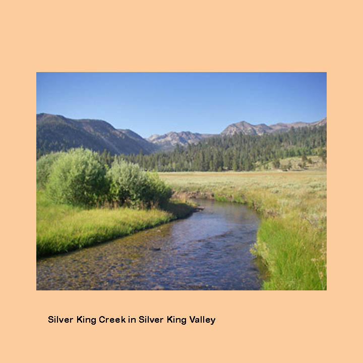 Silver King Valley-Eastern Sierra