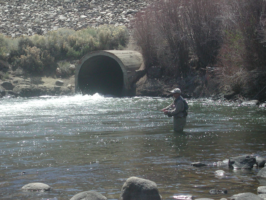 East Walker River - Fly Fishing the Sierra