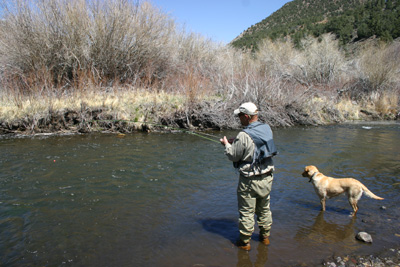 East Walker River