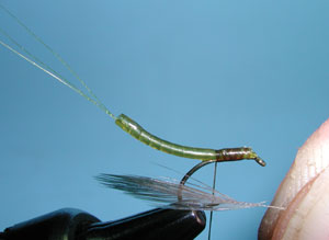 Extended Body Mayflies, Step Seven