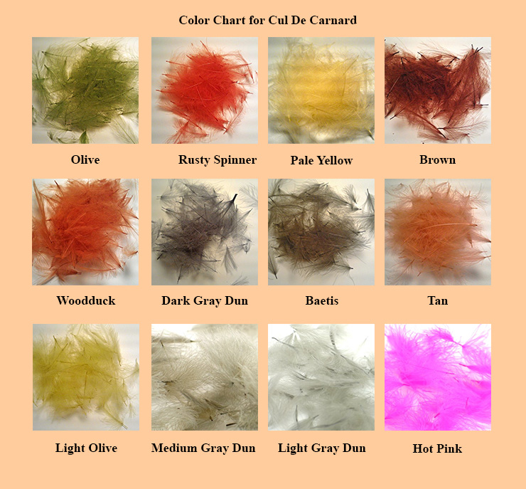 Fly Tying Polish CDC natural or dyed and selected feathers 7new colours for 2019 