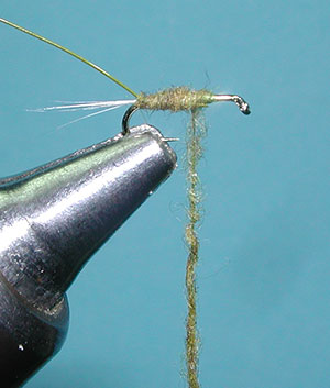 Floating Nymph, Step Six