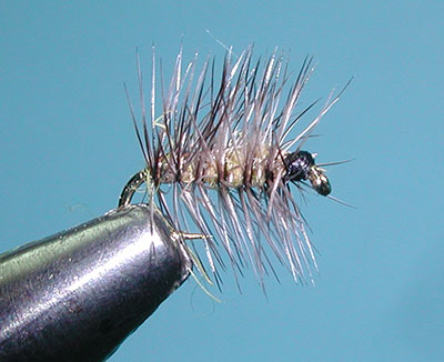 6 Pack Blue Wing Olive Griffiths Gnat Dry Fly 