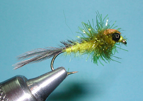 Gray's Hex Nymph