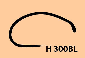 H 300BL