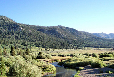 carson river