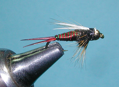 Hot Wire prince nymph
