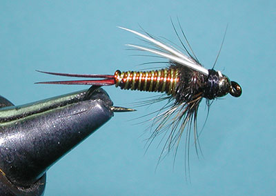 Hot Wire prince nymph