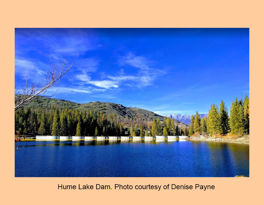 Are Dogs Allowed At Sandy Cove Hume Lake