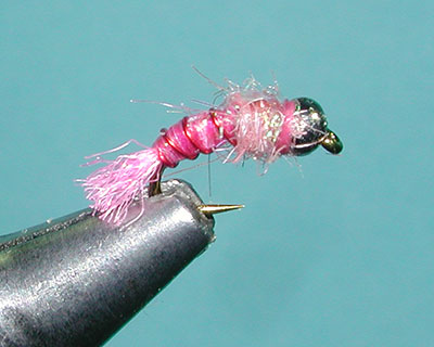 Pink  Lightning Bug