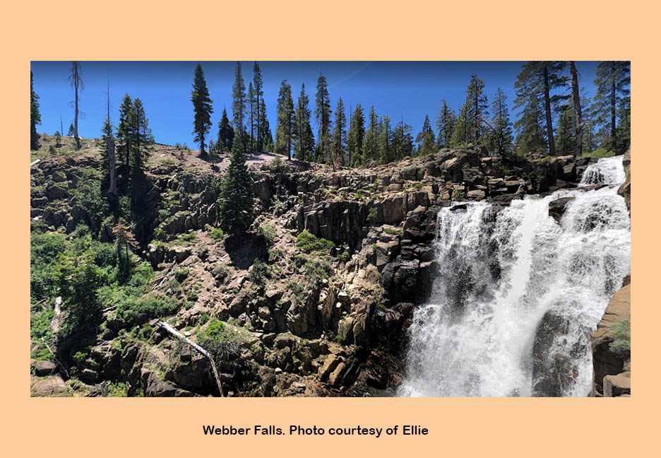 2019 steve schalla this page is not to be copied without my explicit