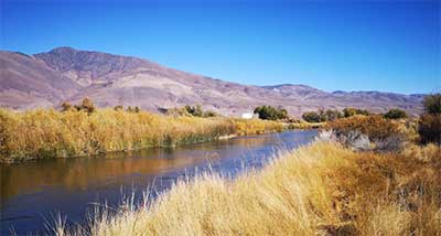 Lower Owens River