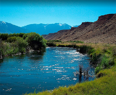 Lower Owens River Wild Trout Section