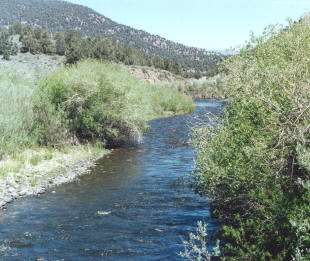 Lower Rush Creek