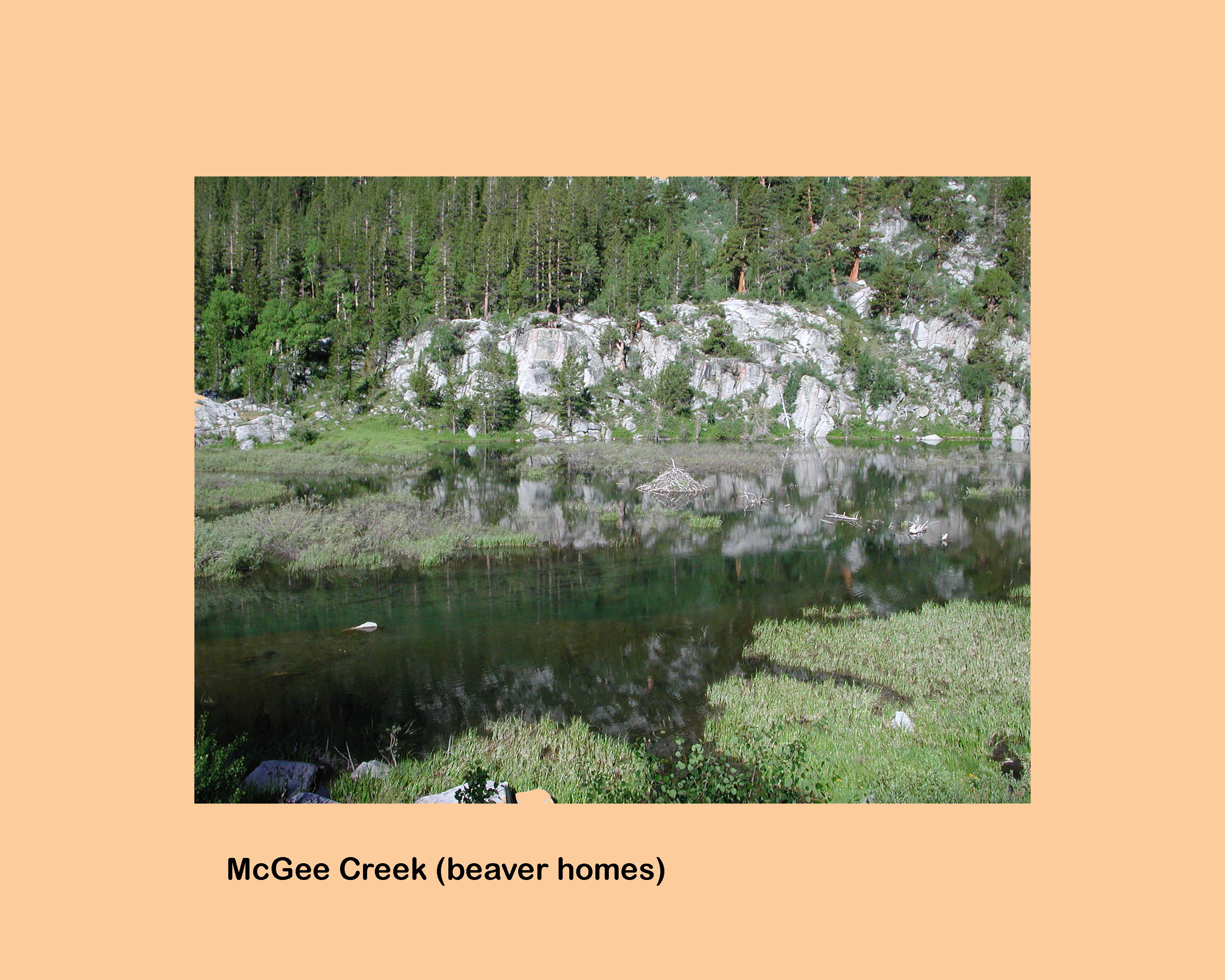 2023 steve schalla this page is not to be copied without my explicit