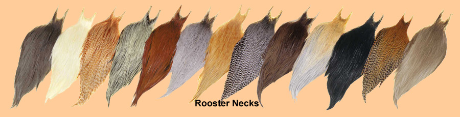 50 WHITING METZ  ROOSTER SADDLE HACKLE FLY TYING FEATHERS ASST grizzly dun etc. 