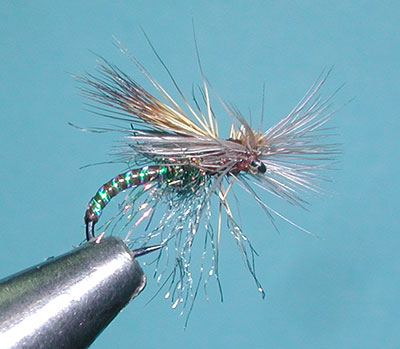 Morris May Emerger PMD