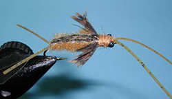 Biot Epoxy Stone Nymph - Dark - Trout Flies – BigTimeFlies