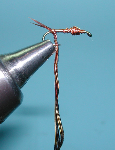 Blue Wing Olive Nymphs, Step Five