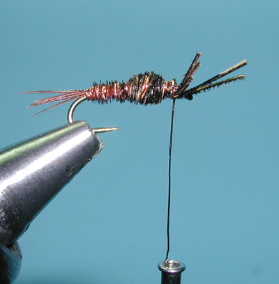 Blue Wing Olive Nymphs, Step Six