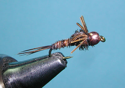 Fly Fishing Pheasant Tail NYMPH Coloured selection x16 supplied with box #344 