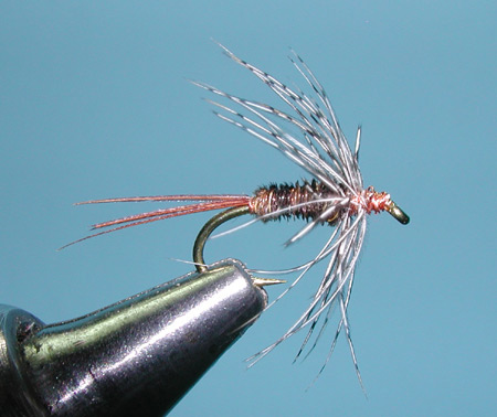 Soft Hackle Tied on Mustad Signature Fly Hooks Region Fishing Pheasant Tail Nymph Fly 1 Doz 