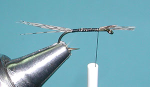 RP Emerger, Step Two