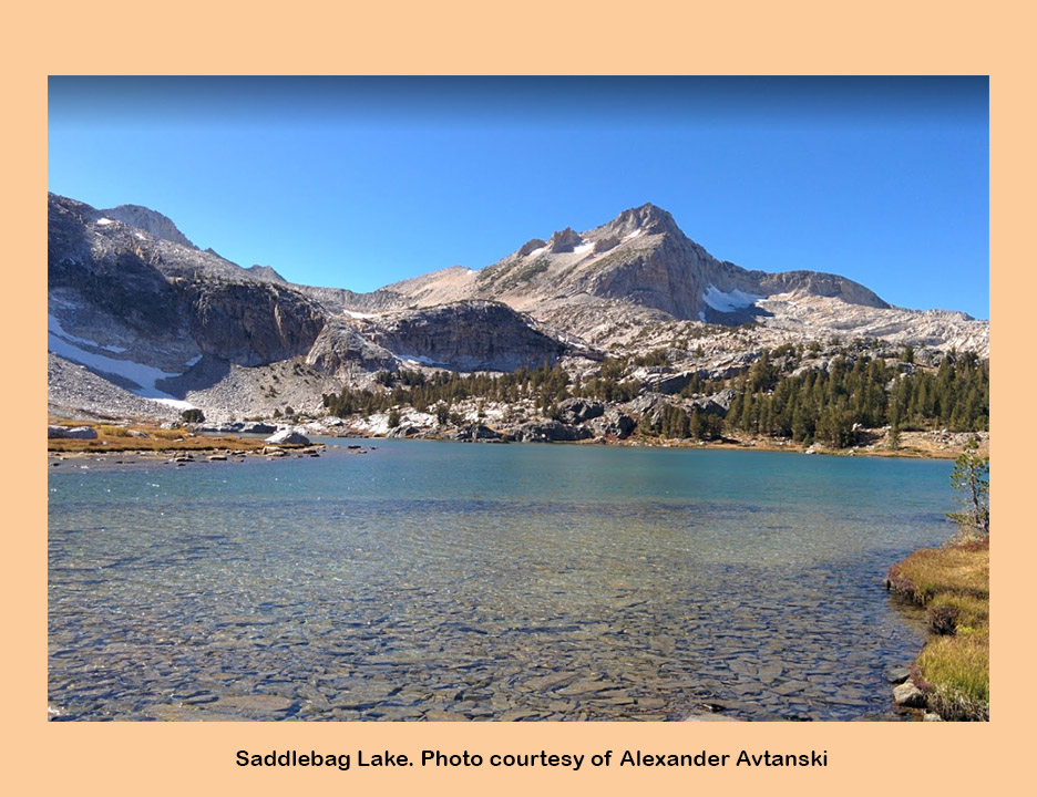 2021 steve schalla this page is not to be copied without my explicit