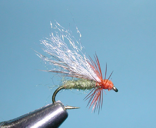 Olive and Brown Diving Caddis