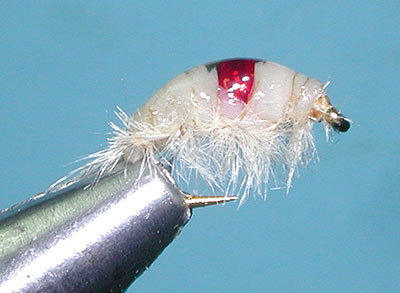 Nymph Gold Pearlescent Rib Scud Back Etc Fly Tying Material 