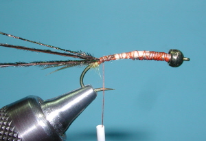 Sexstone Nymph, Step Five