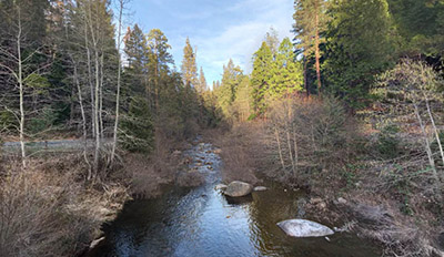 South Fork Stanislaus