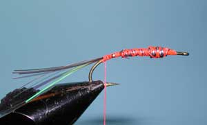 Clouser Swimming Nymph, Step Two