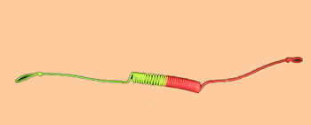 Indicator Tippet Coil