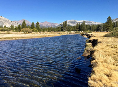 Tuolumne Meadows