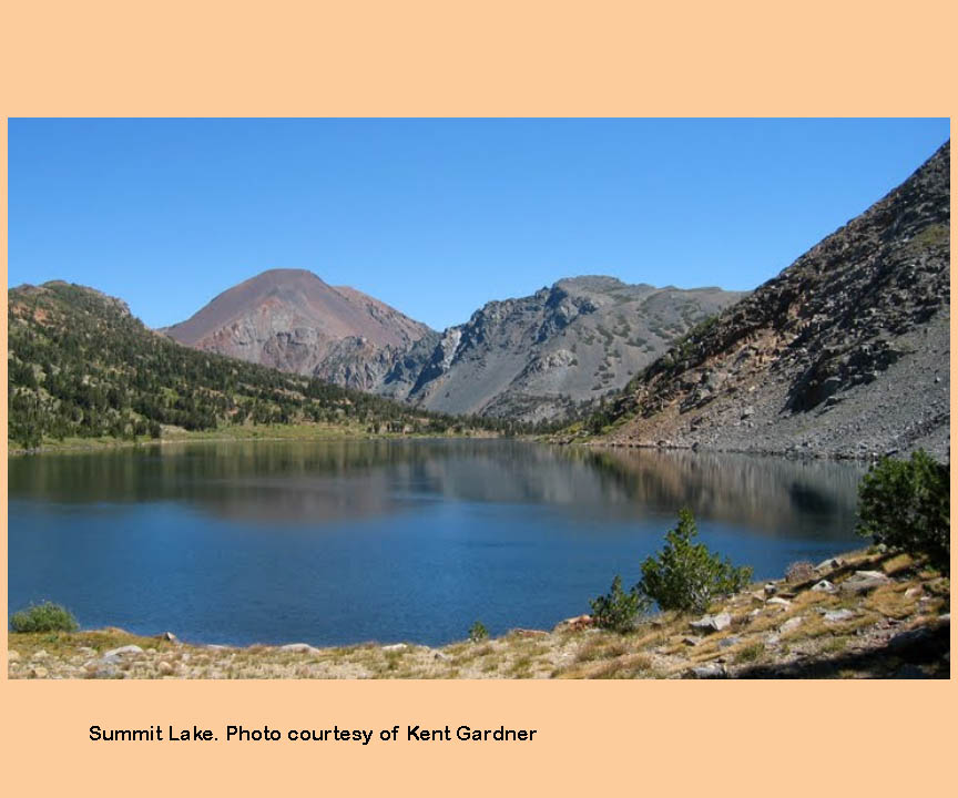 2021 steve schalla this page is not to be copied without my explicit