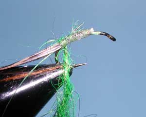 Z-Wing Caddis, Step Two