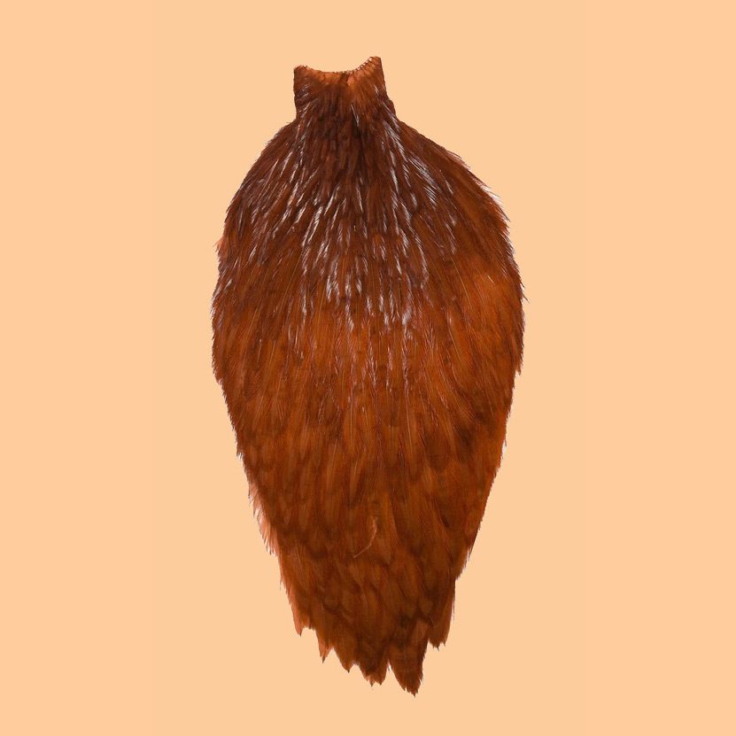Whiting American Rooster Capes - Fly Fishing the Sierra